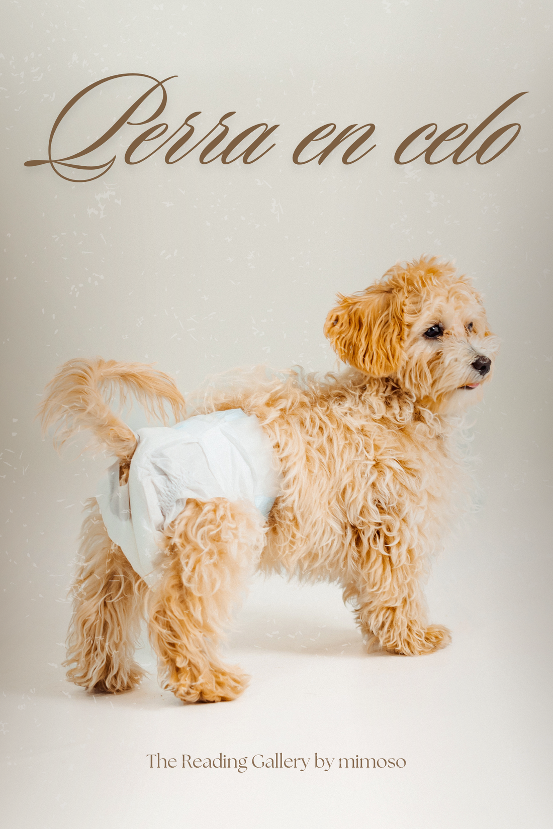 El sangrado durante el celo canino