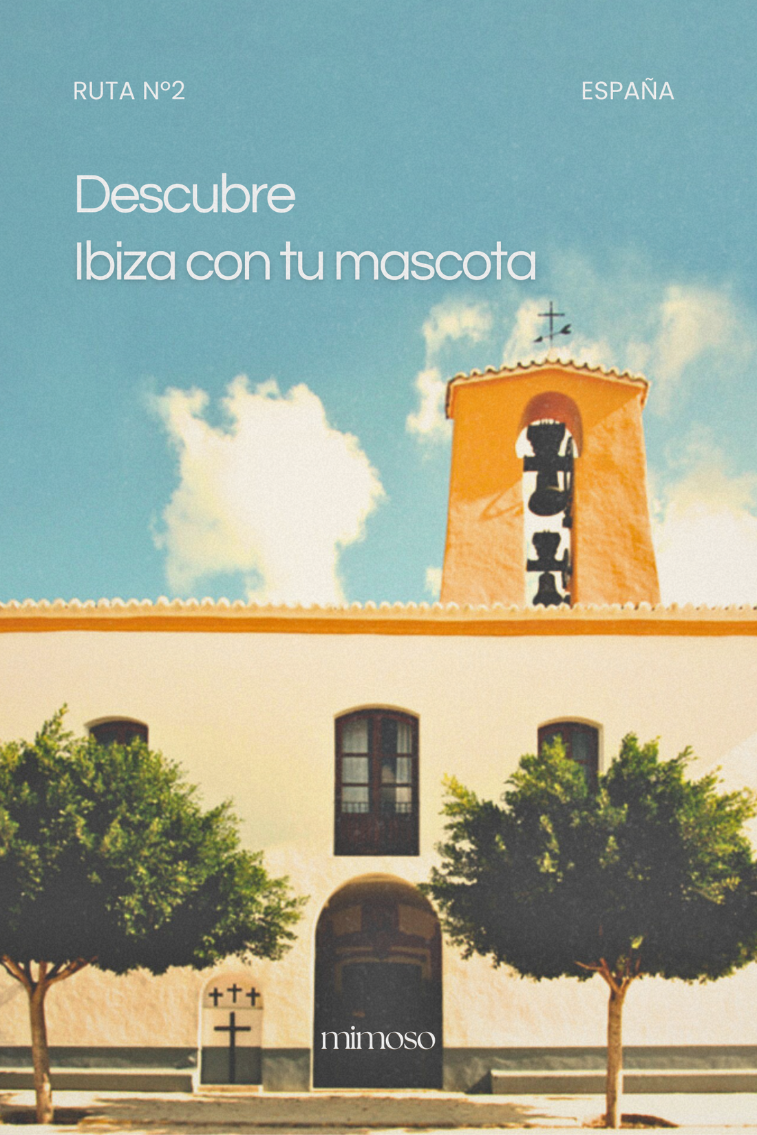 Ibiza paseando con tu perro