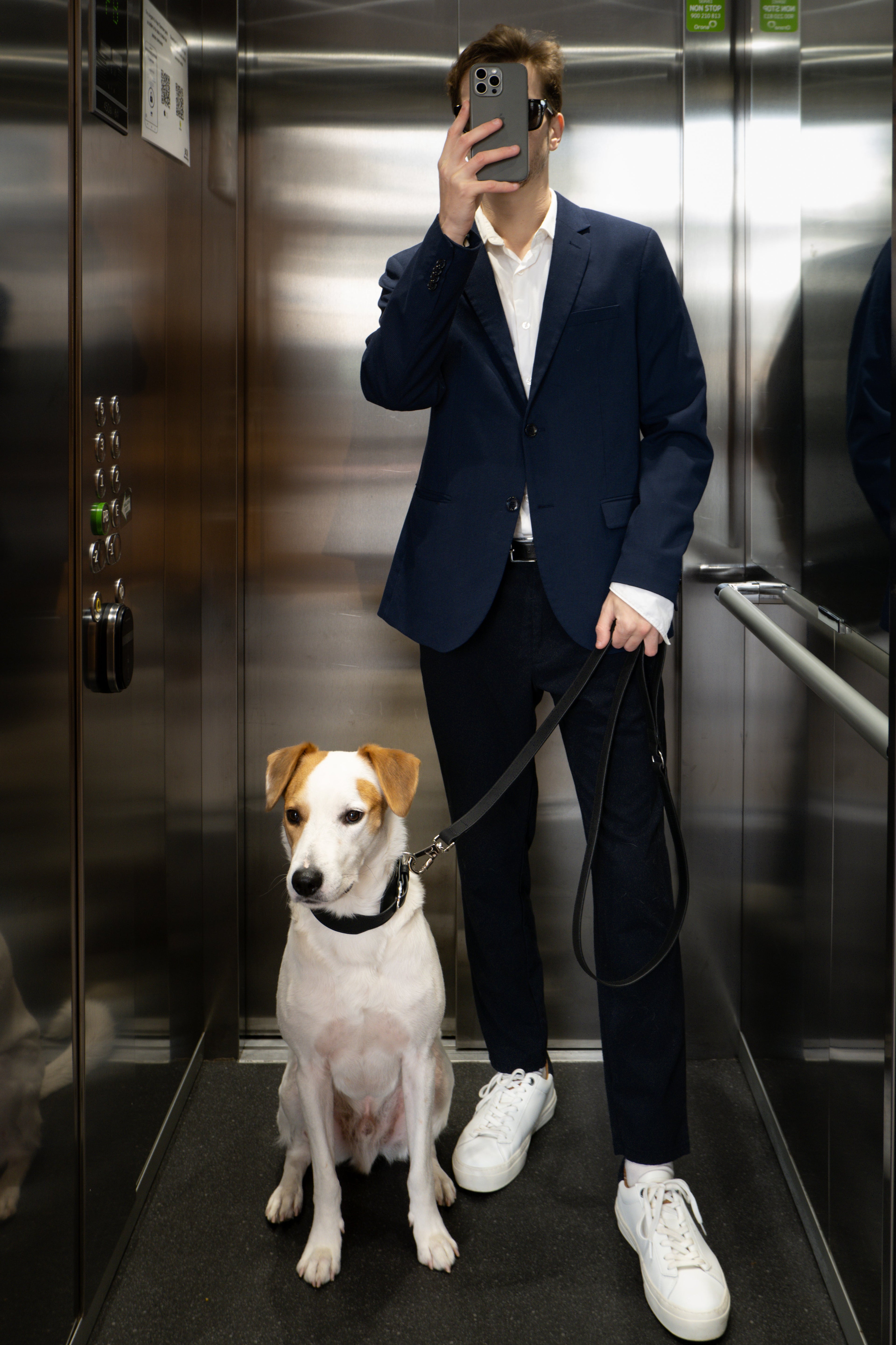 Hombre trajeado con perro blanco con collar de piel negro y correa de piel negro de la marca mimoso dentro de ascensor.